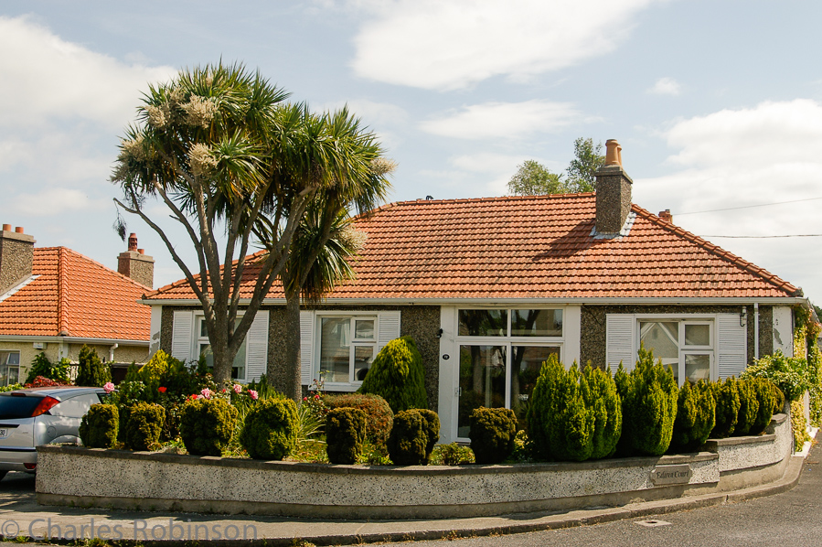 Across the street from our first B&B in Dun Laoghaire. I did not expect palm trees!<br />June 13, 2005@12:14