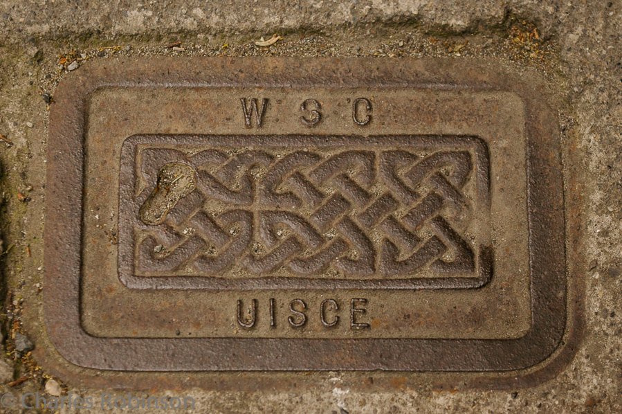 A water access plate on the sidewalk. They all had this pretty Celtic knot pattern.<br />June 13, 2005@19:51