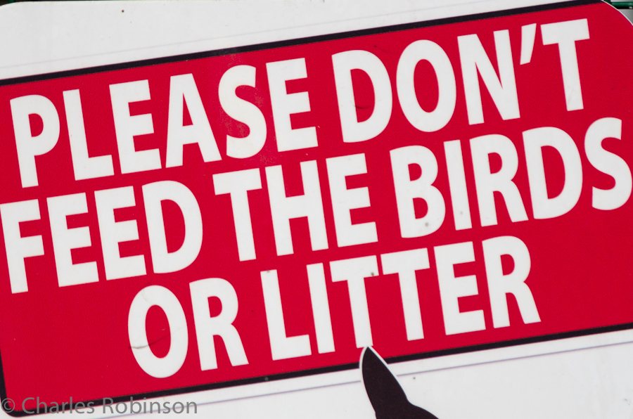 Duly noted - we neither fed the birds nor fed the litter.<br />May 11, 2013@13:39
