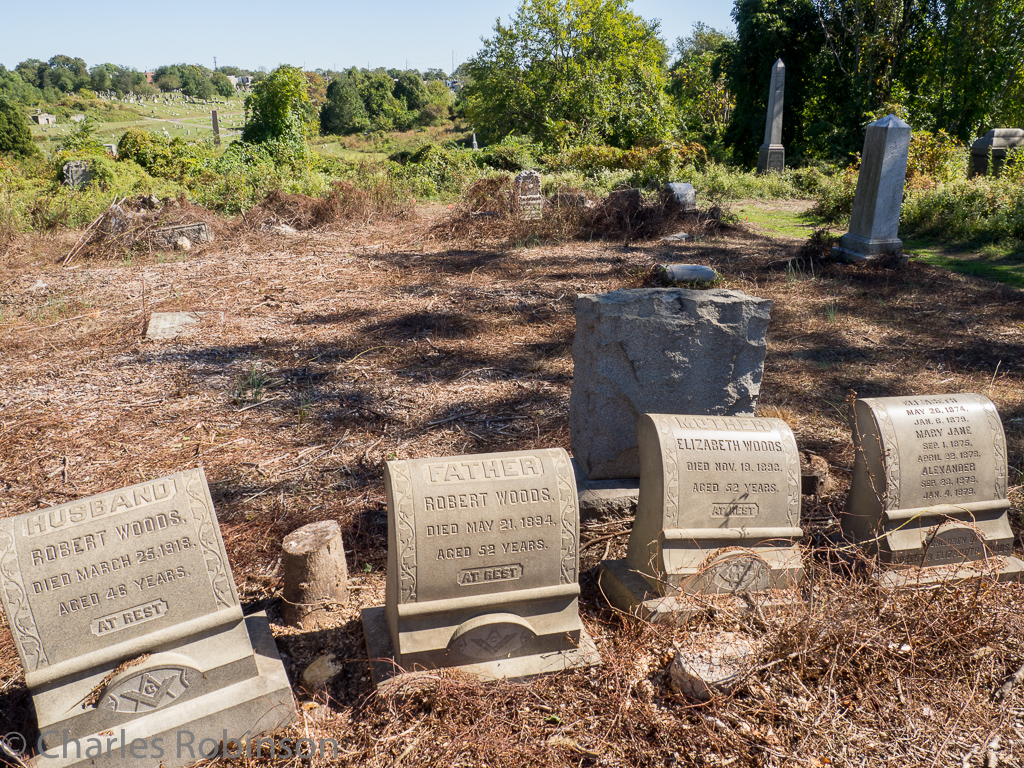 A recently-cleared part of the cemetery.<br />October 10, 2016@12:45