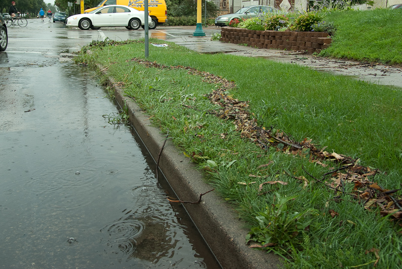 August 19, 2009@15:49<br/>The woodchips in the grass show how high the water was up over the curb at the peak of the storm.