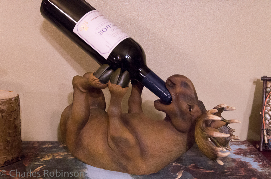 How's that for a wine-bottle holder?<br />March 08, 2013@20:20