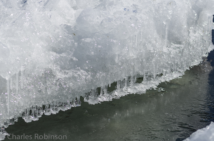 These icicles stopped about 2 inches short of the water.  Very funky.<br />March 16, 2014@11:58