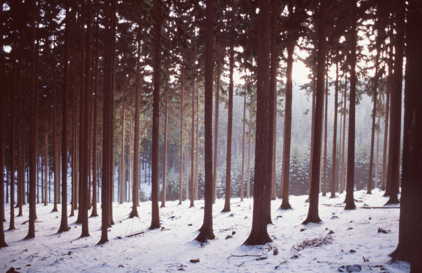 Walking up in the mountains