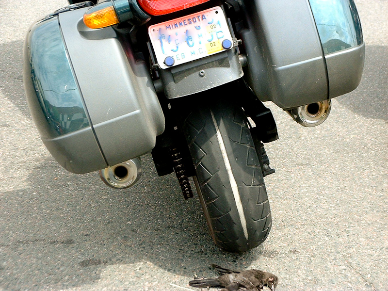 June 24, 2001@14:01<br/>Looks like someone might need a new rear tire - and I just noticed the dead bird.  Nice.