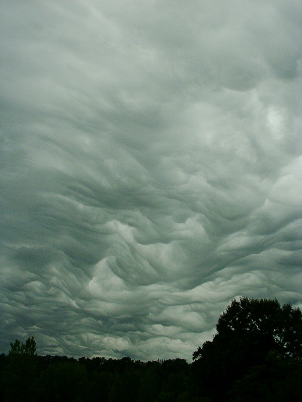 August 29, 2001@08:30<br/>Cool clouds over New Ulm, MN