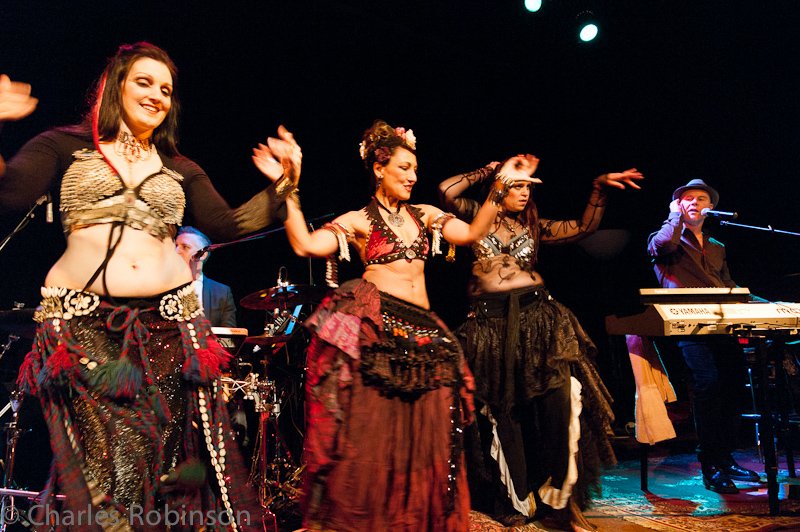 Belly Dancers!  For 