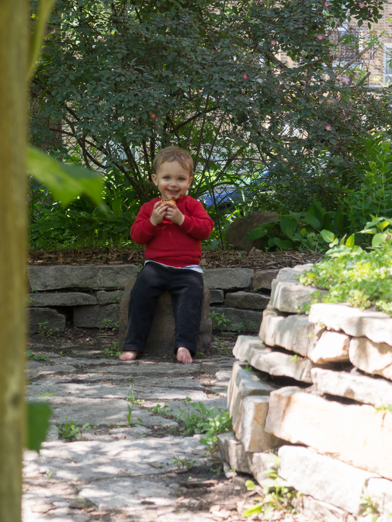 Arthur hanging out in the garden by himself... I was trying to take a candid by just holding the camera out around the corner but he spotted it.<br />May 30, 2015@13:32
