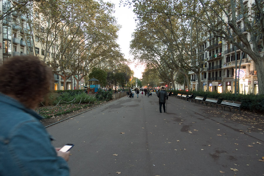 The walkway in the middle of Passeig de Sant Joan.