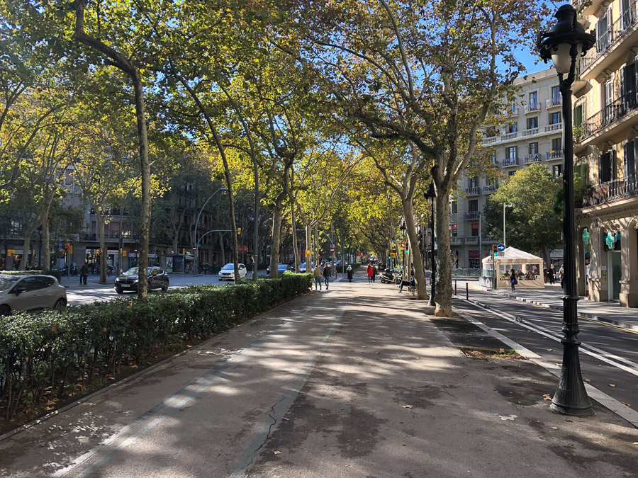 Bus/cab/bike lane on the right, walking sidewalk, then 