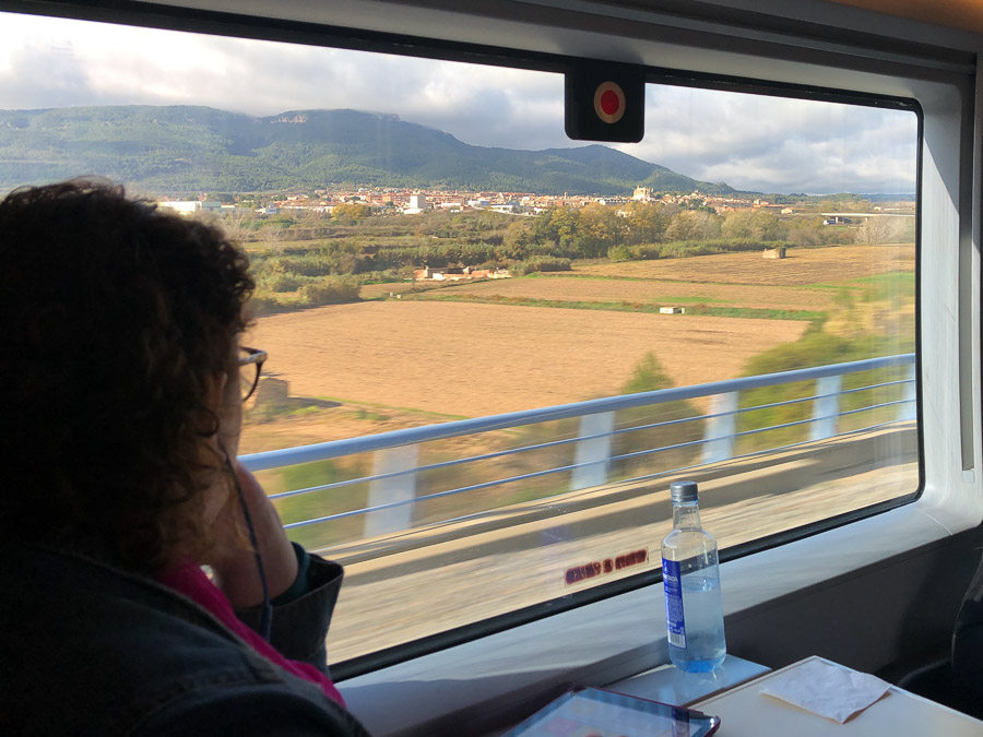 Heading to Madrid on the AVE high-speed trains.  We did about 300kmph most of the way.  Quiet and FAST.