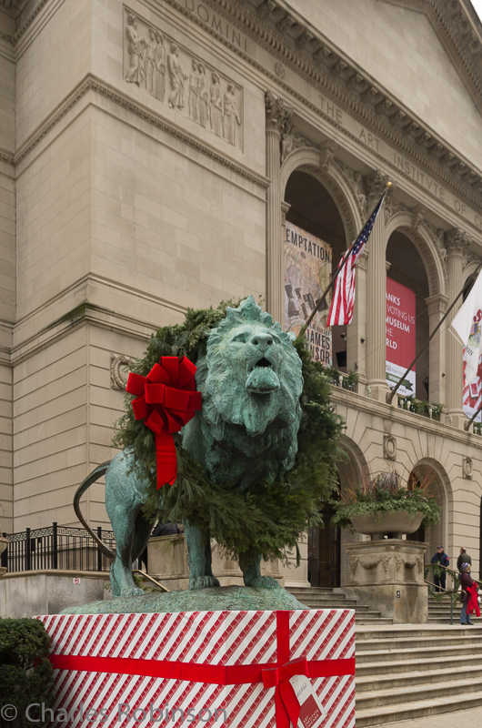 The lions were all decked out for Christmas.<br />December 10, 2014@14:08