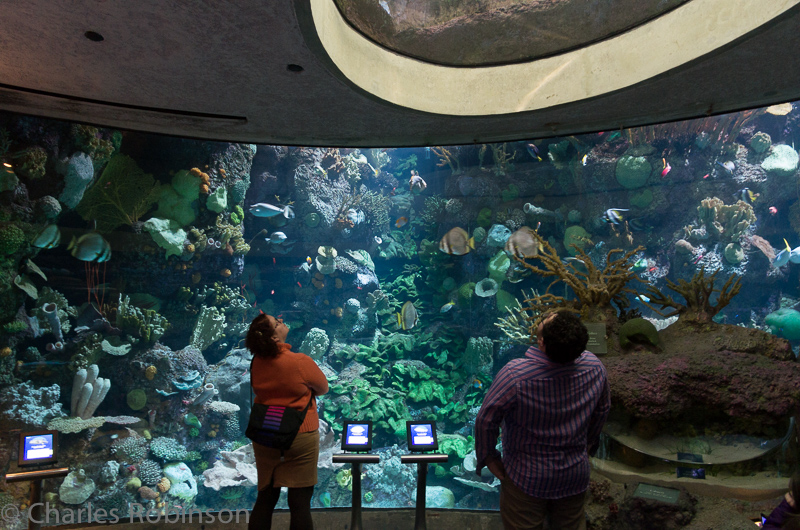 The viewing rooms UNDER the water were pretty slick.  I can't imagine how complicated it was to build (and to maintain).<br />December 12, 2014@15:01