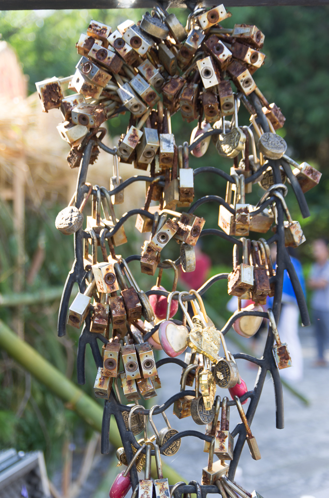 Locks on a fence<br />May 01, 2015@09:14