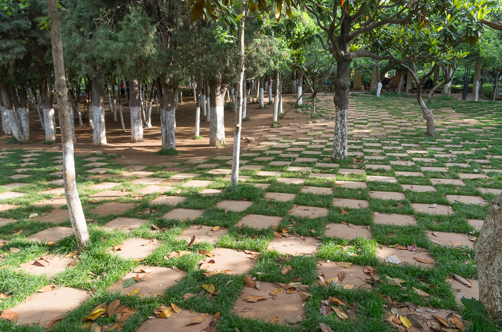 Interesting lawn-but-not-a-lawn in Guanshang Park.  Does anyone know why they paint the bottom 3 feet of the trees white?  When they were on the roadside I figured it was for better visibility, but I can't see the purpose in the middle of a park.<br />April 30, 2015@08:32