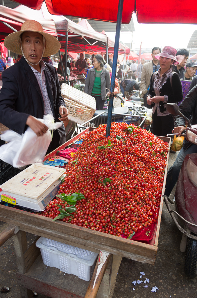 Grape or Cherry tomatos at one of the markets we stumbled across<br />April 30, 2015@08:50