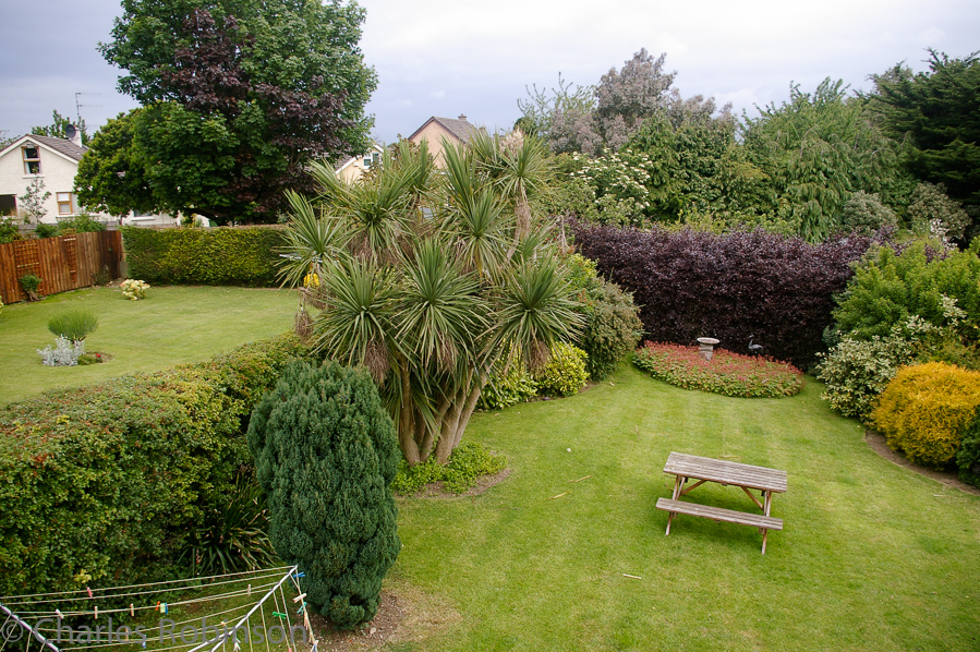 The view of the backyard from our Dun Laoghaire B&B.<br />June 14, 2005@07:37