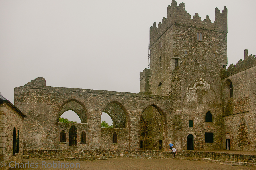 Tintern Abbey - we stumbled across this place on the way to Hook Head.<br />June 15, 2005@12:34