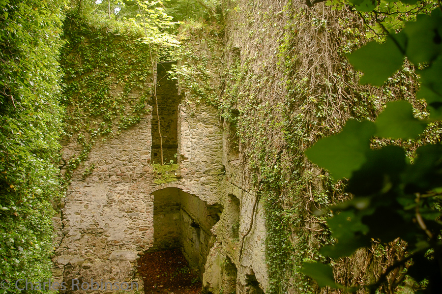 Old mill behind (and was once part of) Tintern Abbey.<br />June 15, 2005@13:38