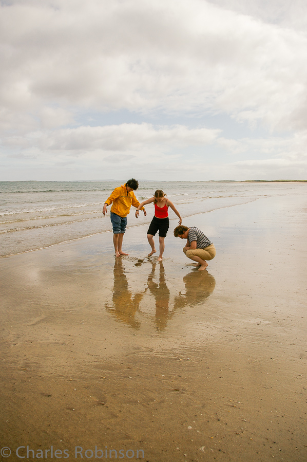 The family investigates a cluster of mussels under the sand.<br />June 19, 2005@10:07