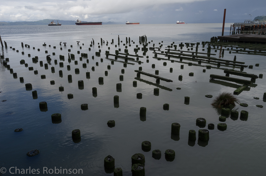 Love all of the old pilings<br />October 02, 2013@15:21