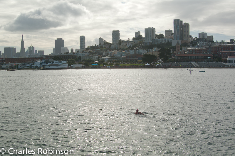 As the half-marathon was going on around the shore, some swimmer/runners were doing laps around the small bay - jumping off of the pier, swimming to the beach, running out to the pier.... The cops finally shut 'em down.  You can see someone swimming for the bach in this shot.<br />November 06, 2011@12:53