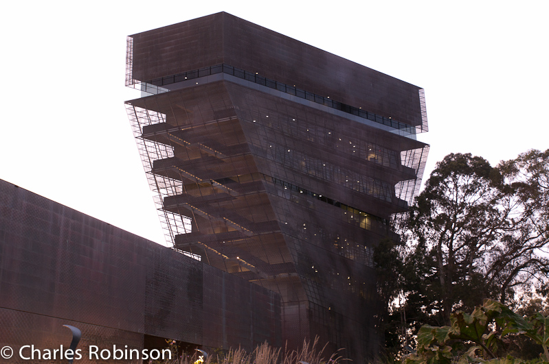 I don't know what it is, but I love the staircases and balconies.  In Golden Gate Park.<br />November 06, 2011@20:17