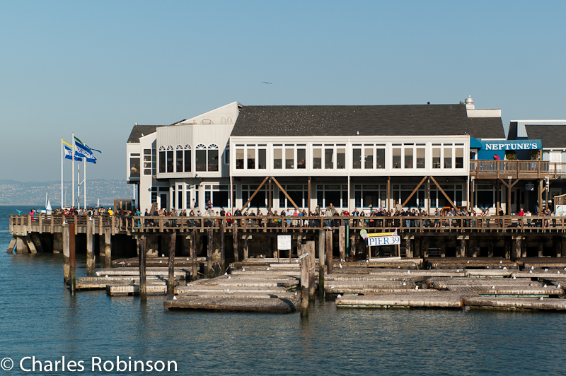 The Sea Lions have mostly left Pier 39 for now.  There were about 13 when we were there.  They were highly outnumbered by the people who came to see 'em!<br />November 10, 2011@18:02