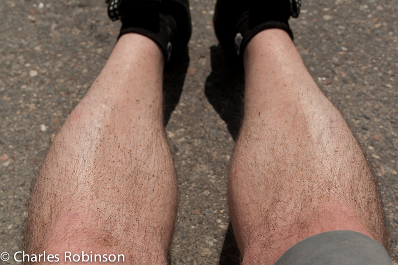 Legs full of dirt from all of the grass and plants I'm smacking as I bike along the sides of the trail<br />July 07, 2011@14:44