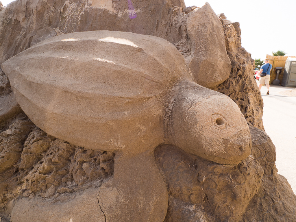 Sand art in the parking lot at the turtle rescue place.<br />February 09, 2017@10:57