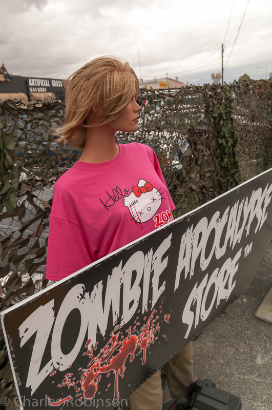 Zombie Apocalypse store was good fun.<br />December 13, 2012@12:00