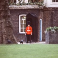 London 1982(10)