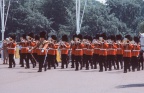 London 1982(14)