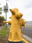 P5010334