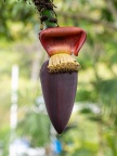 P5040761