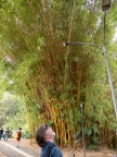 P5041345