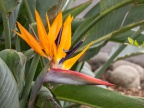 P5041490