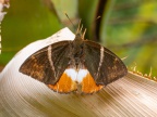 P5041514
