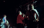 the answers 1981 (12)