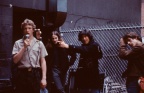 the answers 1981 (2)