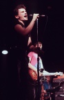 the answers 1981 (22)