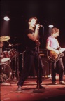 the answers 1981 (25)
