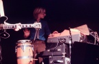 the answers 1981 (28)