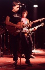 the answers 1981 (29)