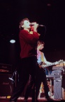the answers 1981 (5)
