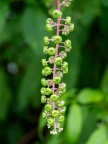 P7057437