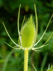 P7077617