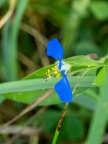 P7077632