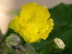 P5042314