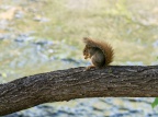 P5031566